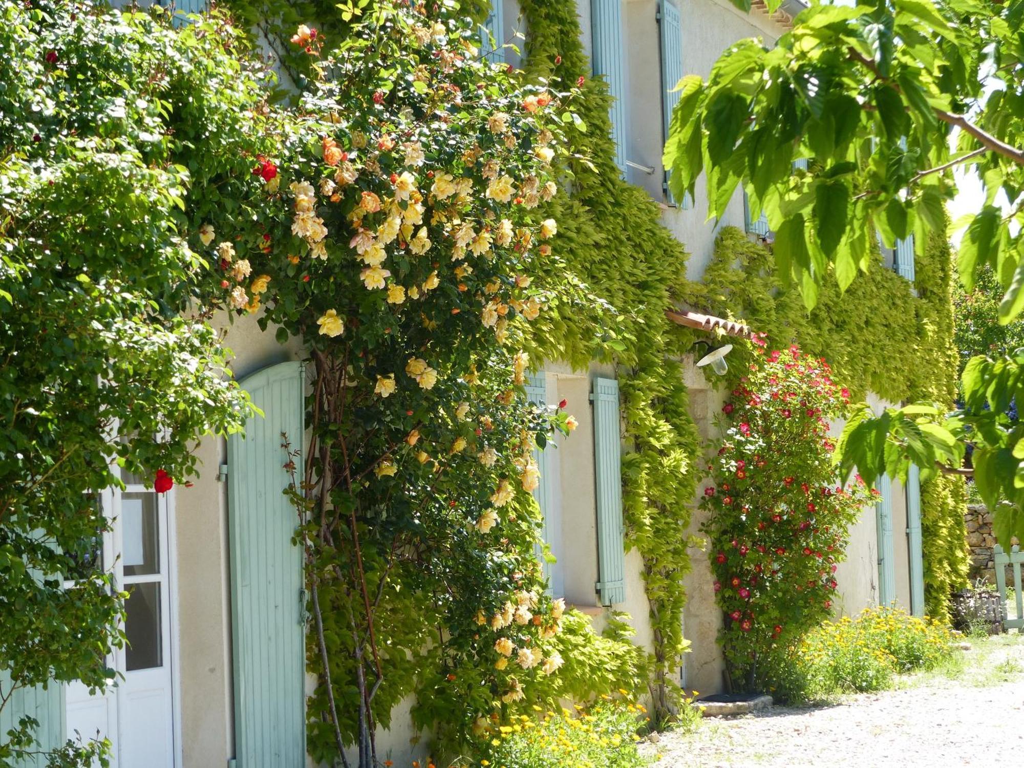 La Ferme Du Petit Segries Bed And Breakfast Moustiers-Sainte-Marie Quarto foto