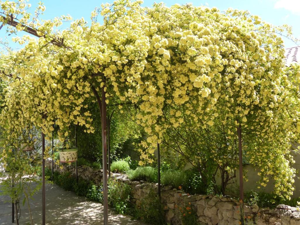 La Ferme Du Petit Segries Bed And Breakfast Moustiers-Sainte-Marie Exterior foto