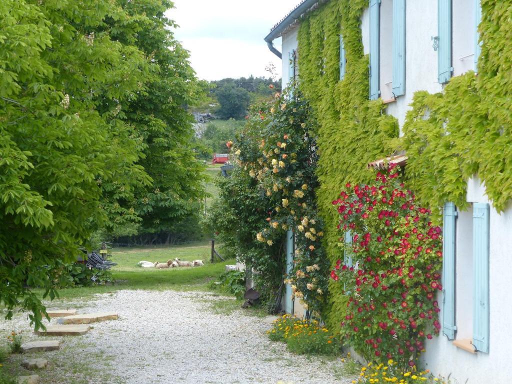 La Ferme Du Petit Segries Bed And Breakfast Moustiers-Sainte-Marie Exterior foto